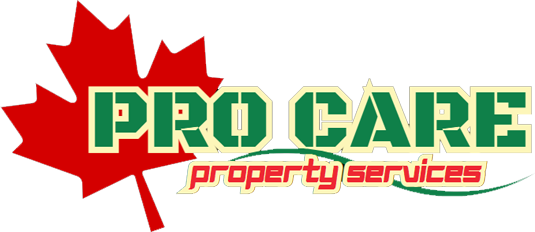 Pro-CareTbay-big-logo